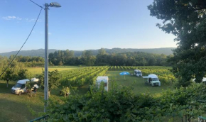 Purple Eye Camp & Winery